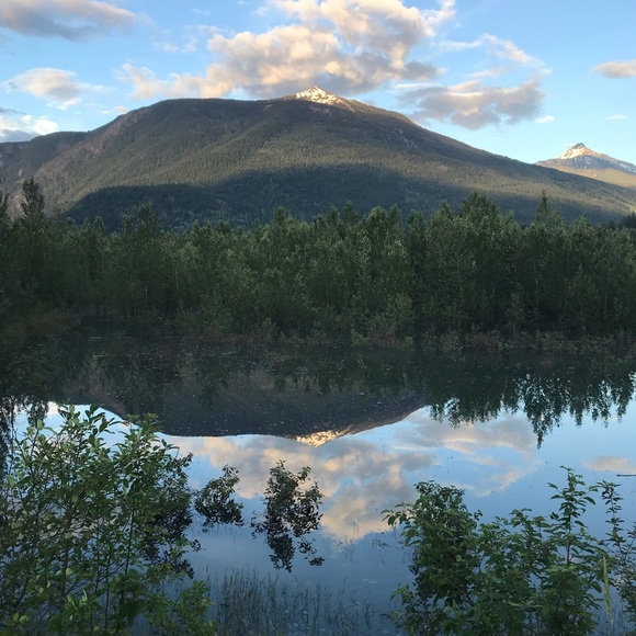 Meet your Posher, Sherry - Picture 1 of 1